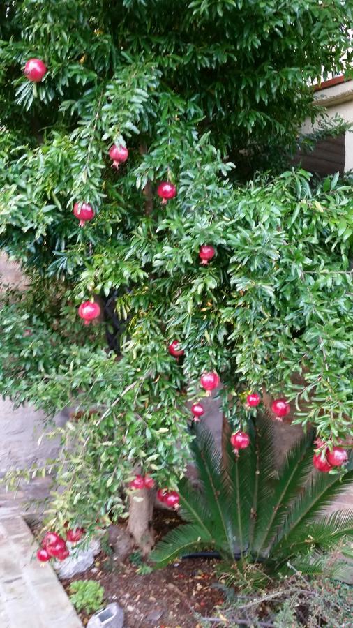 La Maison Jujube Morrovalle Buitenkant foto